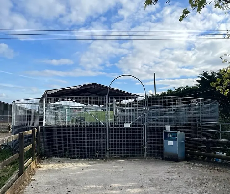 Claydon 5 Horsewalker