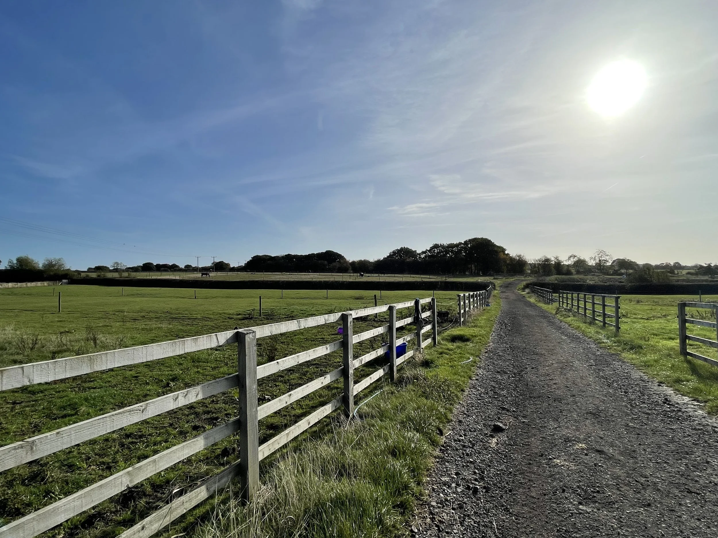 Beautiful fenced paddocks at Duttons Farm Livery