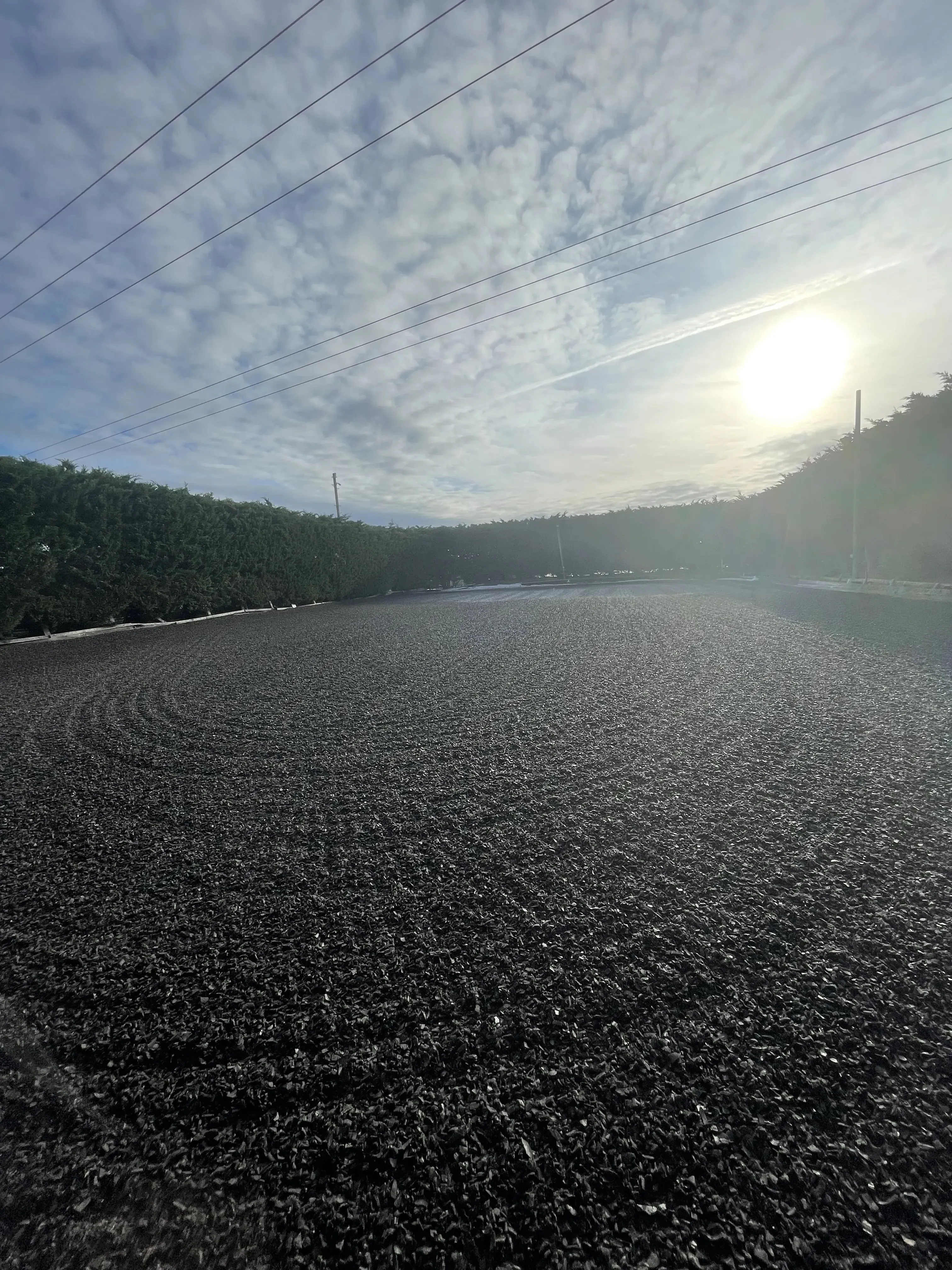 Rubber arena at Duttons Farm