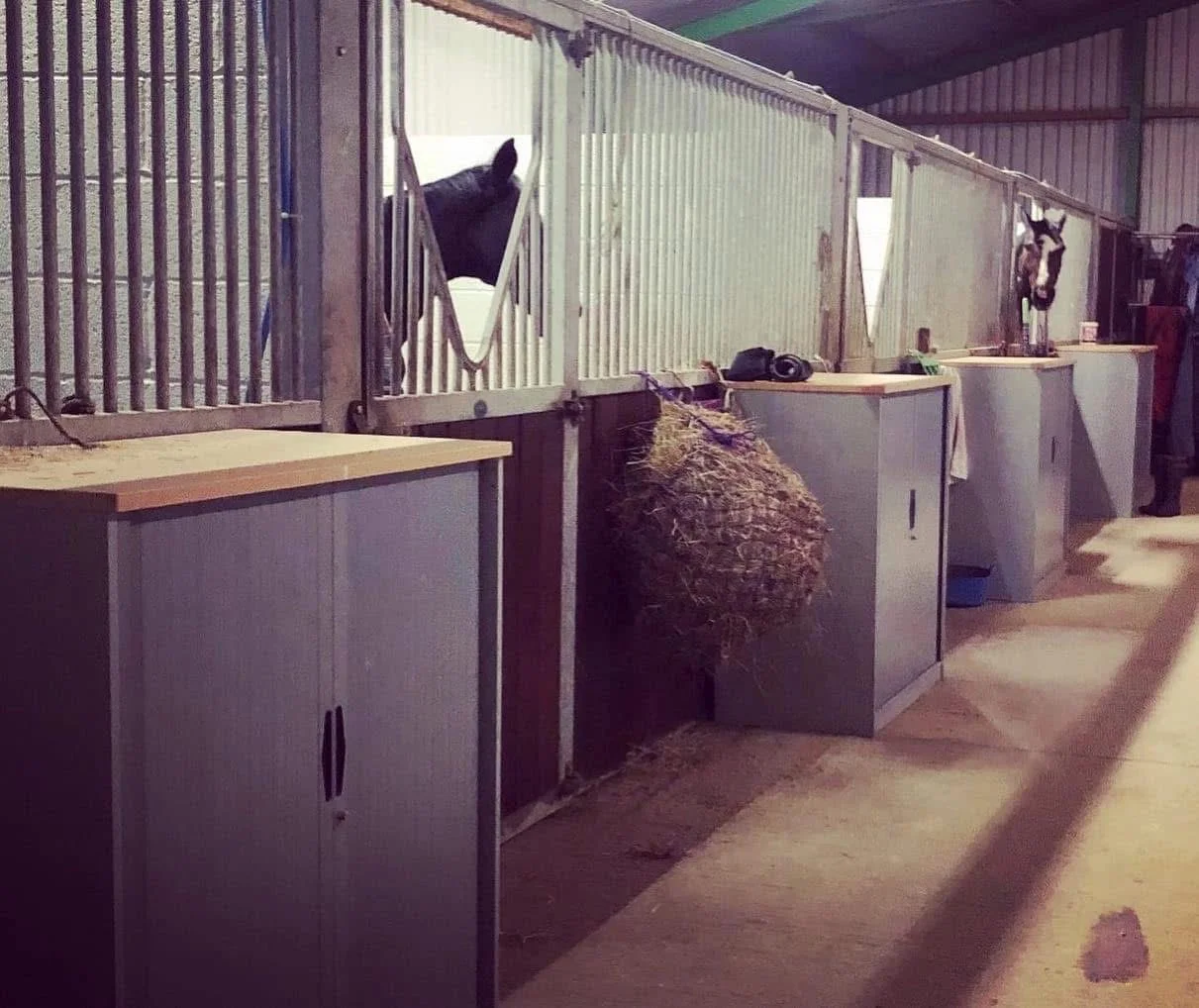 Hancox Hardwood Internal Stables at Duttons Farm Livery